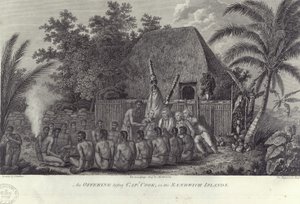 Mieszkańcy Wysp Sandwich na Hawajach uboju świń przed kapitanem Cookiem, ok. 1778 r. autorstwa Unbekannt