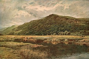 Lustro natury, 1882, c1902. autorstwa Unbekannt