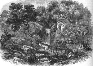 Krajobraz Nowej Zelandii, ok. 1880 autorstwa Unbekannt
