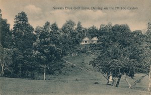 Nuwara Eliya Golf Links, jazda na 7. tee, Cejlon, c1900 autorstwa Unbekannt