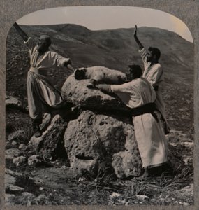 Składanie ofiary z baranka na ołtarzu, Moreh, ok. 1900 autorstwa Unbekannt
