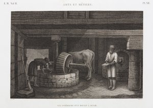 Oleje, tłuszcze i woski Olejarnia, Egipt, ok. 1798 autorstwa Unbekannt
