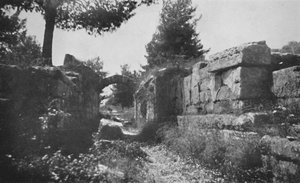 Olympia - Wejście na boisko, 1913 autorstwa Unbekannt