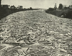 W drodze do tartaków, ok. 1948. autorstwa Unbekannt