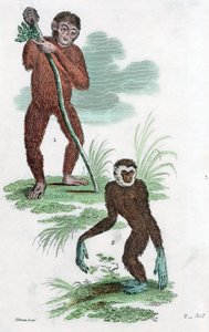 Dłużnicy i Gibbon, 1822 autorstwa Unbekannt
