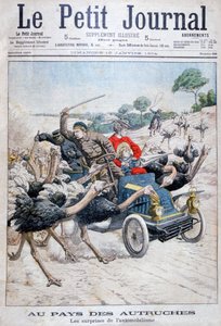Strusie atakują samochód, Kalifornia, USA, 1904 r. autorstwa Unbekannt