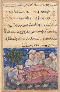 Strona z Tales of a Parrot Tuti-nama: Piętnasta noc: Lew niepokojony przez myszy..., 1558-1560. autorstwa Unbekannt