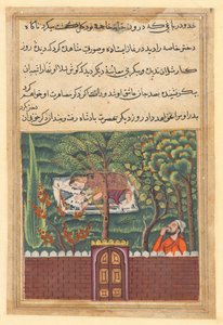 Strona z Tales of a Parrot Tuti-nama: Pięćdziesiąta pierwsza noc: Khulasa, wezyr, widzi..., ok. 1560. autorstwa Unbekannt
