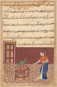 Strona z Tales of a Parrot Tuti-nama: Pięćdziesiąta pierwsza noc: Papuga zwraca się do Khujasta..., c. 156 autorstwa Unbekannt