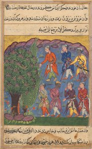 Strona z Tales of a Parrot Tuti-nama: Szósta noc: Siedmiu mężczyzn kłócących się o posiadanie... 1560. autorstwa Unbekannt
