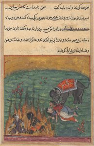 Strona z Opowieści papugi Tuti-nama: Dwudziesta druga noc: Za karę..., c. 1560. autorstwa Unbekannt