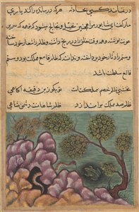 Strona z Opowieści papugi Tuti-nama: Dwudziesta szósta noc: Zdetronizowana żaba..., c. 1560. autorstwa Unbekannt