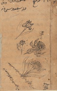 Strona z Opowieści papugi Tuti-nama: strona tekstowa, c. 1560. autorstwa Unbekannt