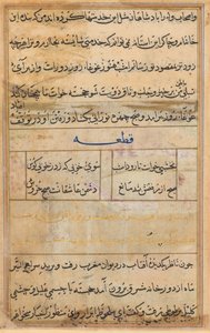 Strona z Opowieści papugi Tuti-nama: strona tekstowa, c. 1560. autorstwa Unbekannt
