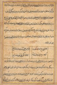 Strona z Opowieści papugi Tuti-nama: strona tekstowa, c. 1560. autorstwa Unbekannt