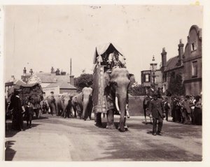 Parada słoni, ok. 1905 autorstwa Unbekannt
