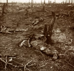 Ścieżka między ciałami, c1914-c1918 autorstwa Unbekannt