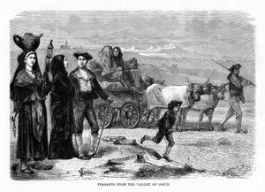Chłopi z doliny Ossun, Francja, 1879 autorstwa Unbekannt