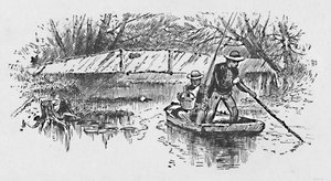 Łowienie okoni na jeziorze, 1883 autorstwa Unbekannt