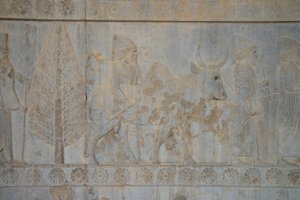 Persepolis, Iran (zdjęcie) autorstwa Unbekannt