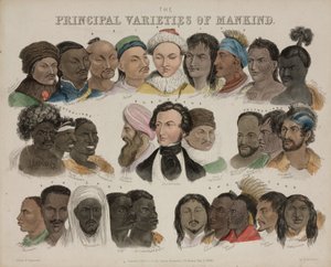 Fizjonomia „Główne odmiany ludzkości”, 3 maja 1850 r autorstwa Unbekannt