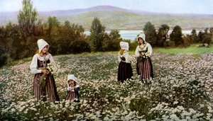 Zbieranie kwiatów na łące niedaleko Leksand, Szwecja, ok. 1923 r. autorstwa Unbekannt