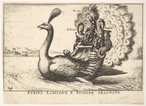Tablica 14: Argonauci Eurytus, Echion i Aethalides Eurito Echione e Etalide Argonote..., 1664. autorstwa Unbekannt