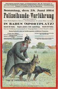 Pokaz psów policyjnych w Baden, 1914. autorstwa Unbekannt