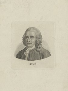 Portret Karola Linneusza 1707-1778, c. 1780. autorstwa Unbekannt