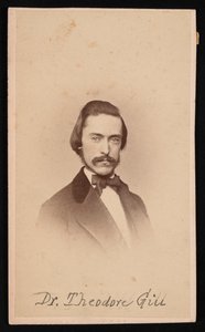Portret Teodora Nicholasa Gilla 1837-1914, około lat 60. XIX wieku. autorstwa Unbekannt