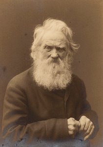 Pozowany portret starca, Landskrona, Szwecja, 1910 autorstwa Unbekannt
