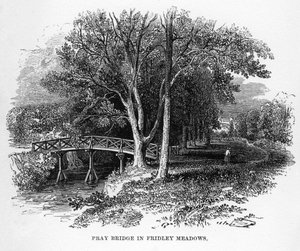 Pray Bridge w Fridley Meadows, Surrey, XIX w. autorstwa Unbekannt