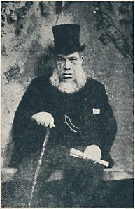 Podwójny prezydent Krugers: John Mutch, 1900 autorstwa Unbekannt