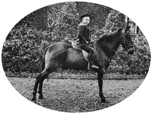 Książę Albert Windsor w wieku sześciu lat, siedzący na koniu, 1902 autorstwa Unbekannt