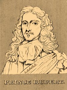 Książę Rupert, 1619-1682, 1830. autorstwa Unbekannt