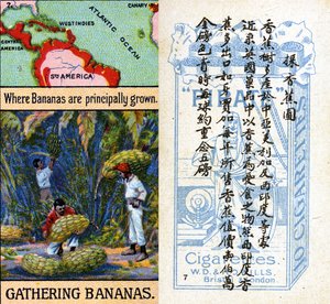 Główne obszary uprawy bananów z serii kart papierosowych „Products of the World” produkowanych przez Wills „Pirate” Papierosy na rynek w Chinach autorstwa Unbekannt