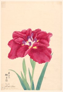 P Hayashi t, Yasushi r f Teon (lew-gniew), z. dwadzieścia dwa autorstwa Unbekannt