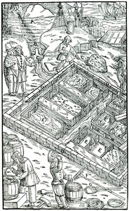Produkcja soli przez odparowanie wody morskiej w panwiach solnych, 1556 autorstwa Unbekannt
