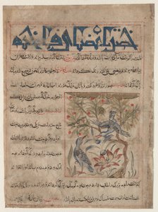 Cechy Ringdoves recto, O dobrodziejstwach przepiórek verso..., c. 1300. autorstwa Unbekannt