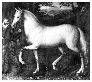 Królowa Elżbieta jest koniem, 1896 autorstwa Unbekannt