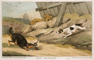 Polowanie na szczury, 1823 autorstwa Unbekannt