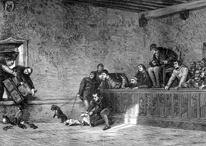 Walka szczurów, odtworzenie Ludwika XI we Francji, 1461-1483 1882-1884 autorstwa Unbekannt