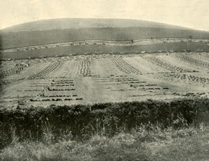 Konkurs Żniwiarzy i Binderów, Mount Blowhard, niedaleko Ballarat, 1901. autorstwa Unbekannt
