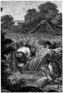 Zbieranie sierpami i wiązanie snopów, Anglia, ok. 1800 r. autorstwa Unbekannt