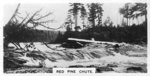 Zjeżdżalnia z czerwonej sosny, Kanada, ok. 1920 r. autorstwa Unbekannt