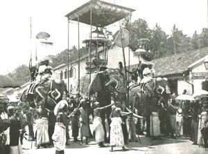 Procesja religijna, Kolombo, Cejlon, 1895. autorstwa Unbekannt