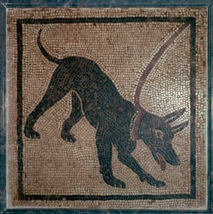 Rzymska mozaika psa, I wiek autorstwa Unbekannt