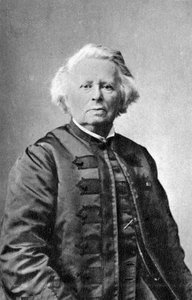 Rosa Bonheur, francuska malarka i rzeźbiarka realistyczna, 1882 autorstwa Unbekannt