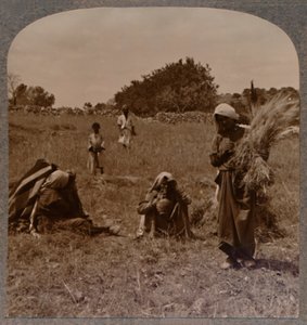 Rut zbierająca kłosy na polach Boaza, ok. 1900 autorstwa Unbekannt