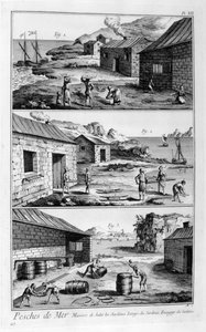 Solenie, mycie, pakowanie sardynek, 1751-1777 autorstwa Unbekannt